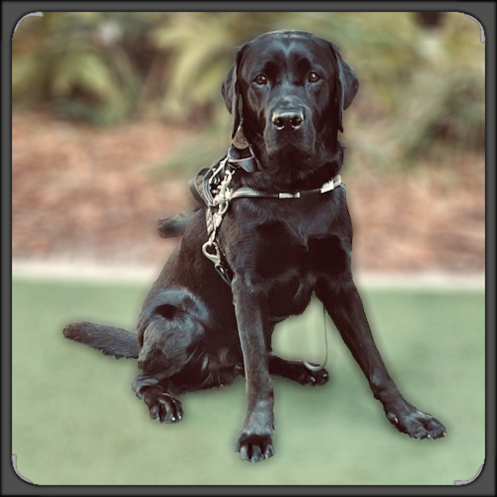 Ace posed for picture at a resort