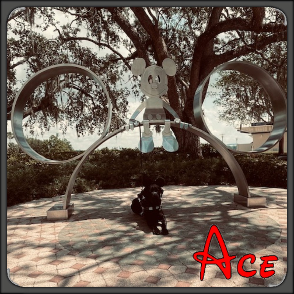 Ace posed for picture with a metal sculpture