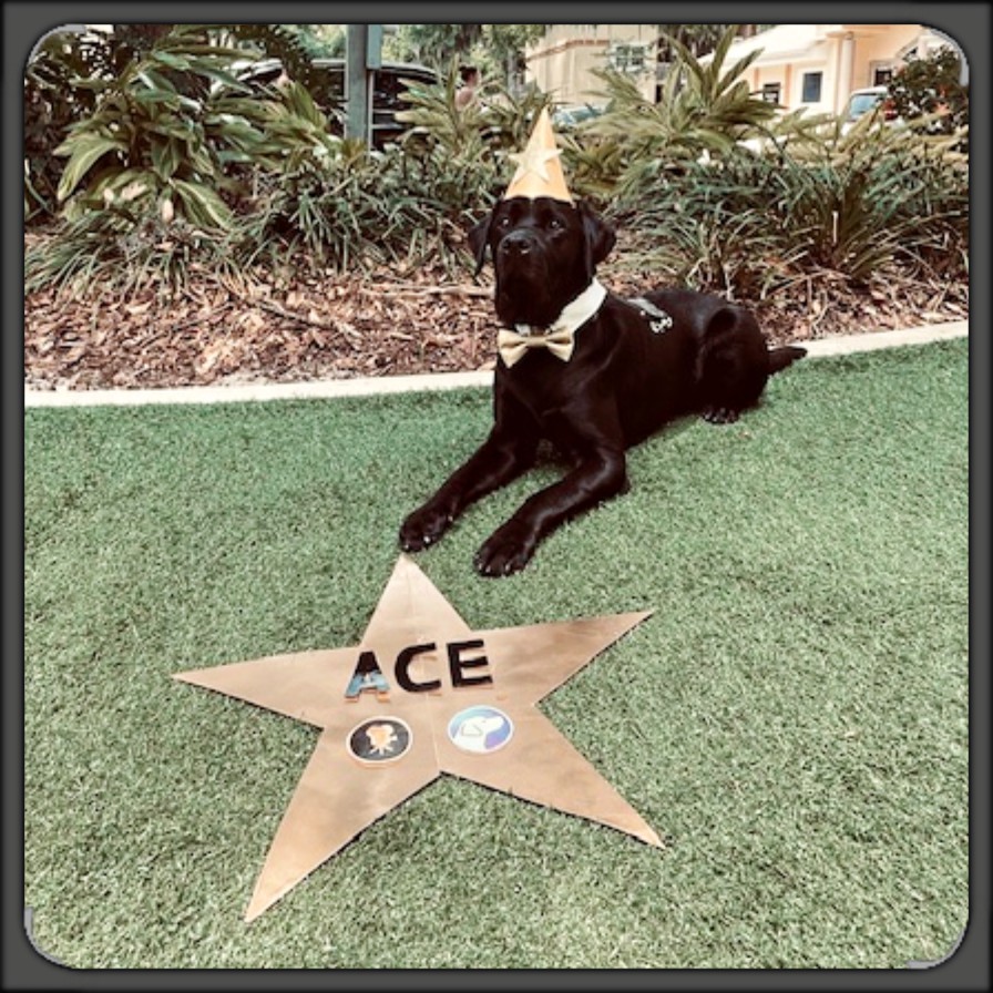 Ace posed for picture with Walk of Fame