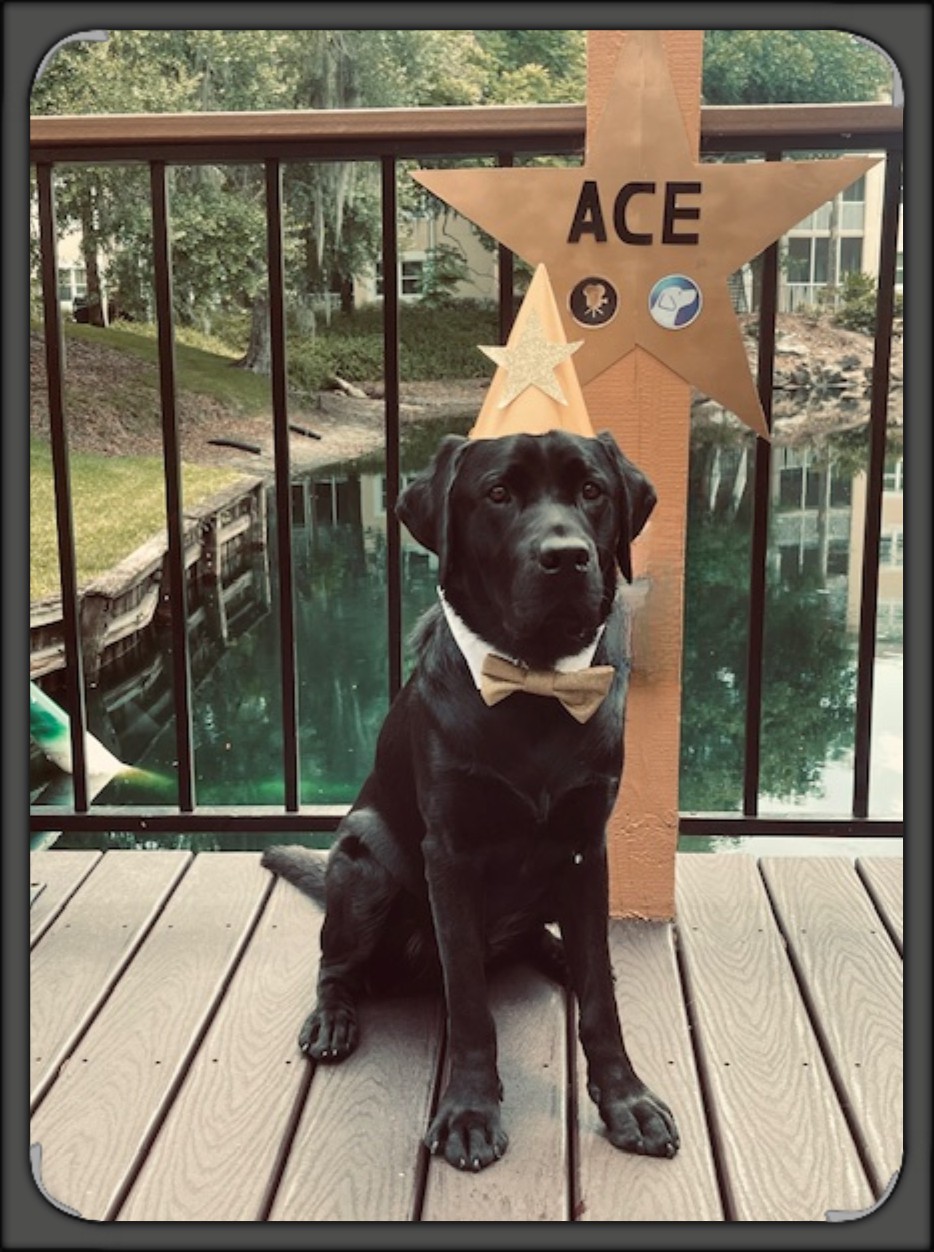 Ace posed for picture with Walk of Fame